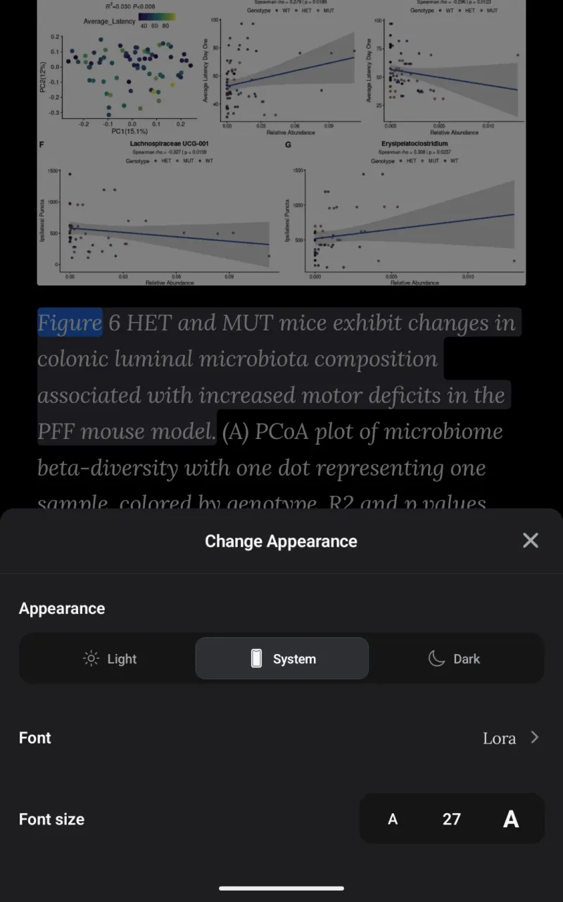Customizing themes, text sizing, and accessibility fonts inside the mobile player appearance menu