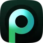 Peech logo